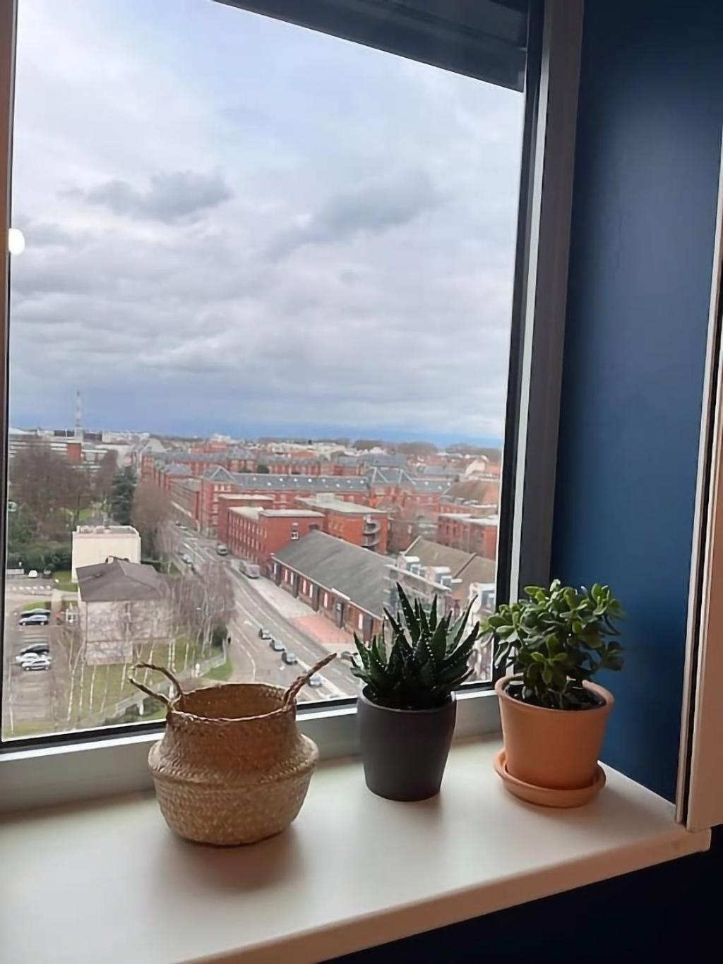 Le Tribunal - Studio Pres De L'Avenue Des Vosges Strasbourg Ngoại thất bức ảnh